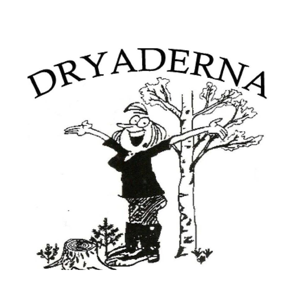 Dryaderna